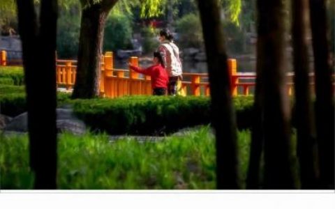 山东摄影厂家排名前十(山东临沂摄影大全)