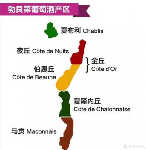法国红酒产地排名前十(法国卡斯特红酒)插图4