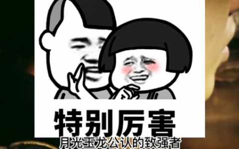 御龙在天月光装备(y御龙在天加强装备怎么搞的)