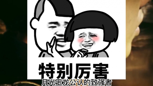 御龙在天月光装备(y御龙在天加强装备怎么搞的)插图
