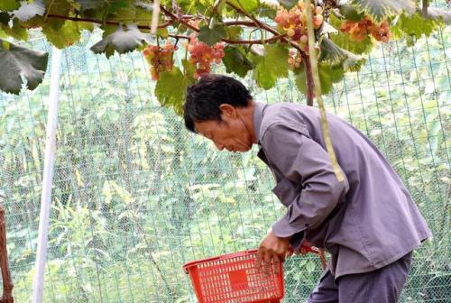 涟源休闲农庄排名前十(涟源按摩足浴休闲会所)插图2