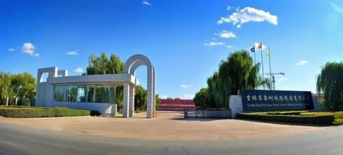 电力铁塔公司排名前十(中国铁塔十大排名)插图1