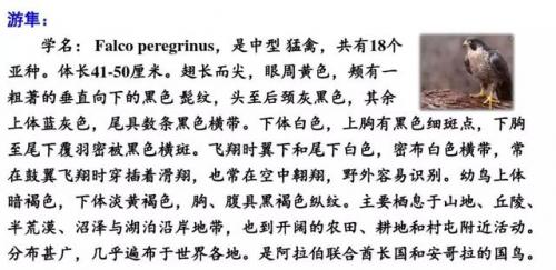 束字组词(句字组词语)插图40