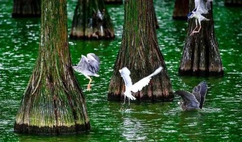 江夏冷门景点排名前十(成都周边冷门18景点)插图13