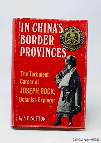 洛克王国禁忌的书房稀有宠物(50级厉害的洛克宠物)插图16