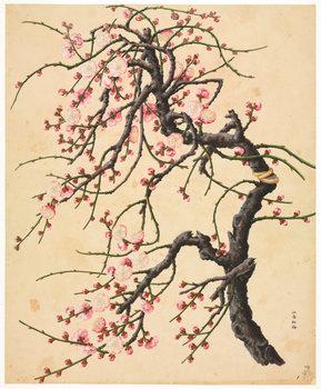 洛克王国紫藤拿什么换(洛克王国紫藤怎么快速获得大量)插图13