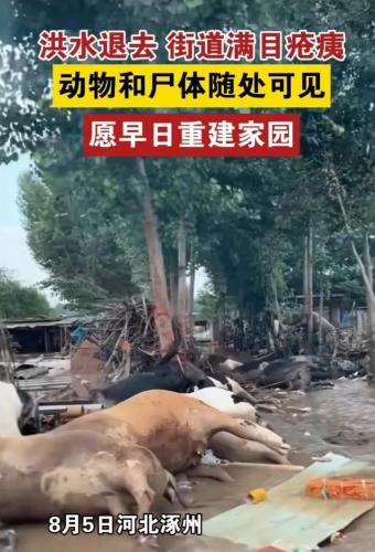 各界大佬捐钱排名前十(名人大咖捐钱的例子)插图5