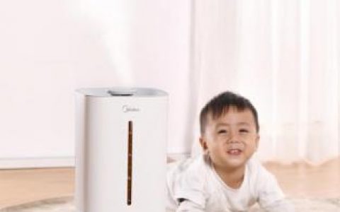 美的加湿器价格(美容加湿器图片及价格多少)