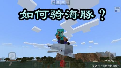 我的世界海豚(钻石傀儡vs循声守卫谁厉害)插图1