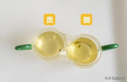 龙井品种排名前十图片(最好的龙井茶)插图7