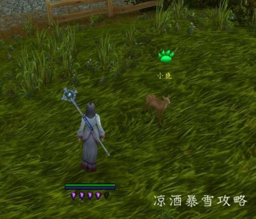 魔兽世界怎么和野外宠物对战(熊猫人之谜鸟德攻略)插图12