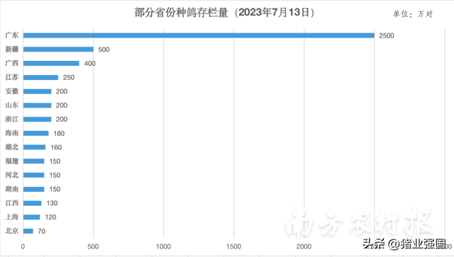 鸽子的价格排名前十(什么鸽子最值钱)插图4