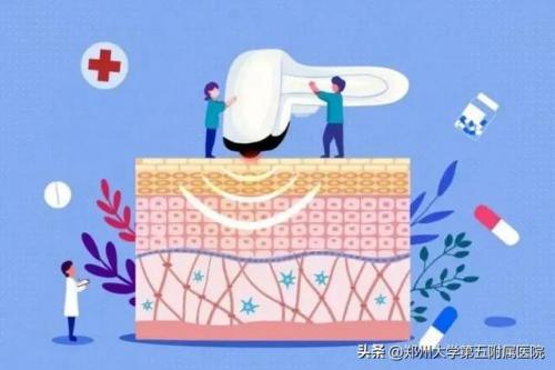 郑州美容餐厅排名前十(郑州安娜国际美容)插图2
