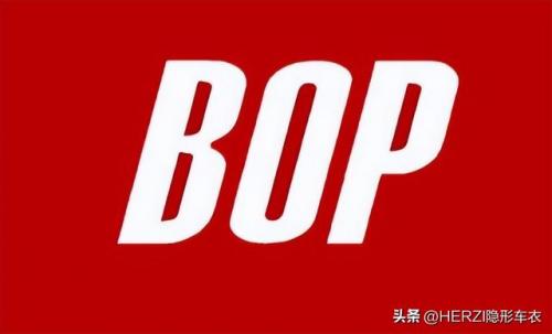 汕头保镖排名前十公司(武汉保镖公司排名)插图3