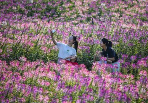 杭州花海农场排名前十(杭州哪里有生态农场)插图13
