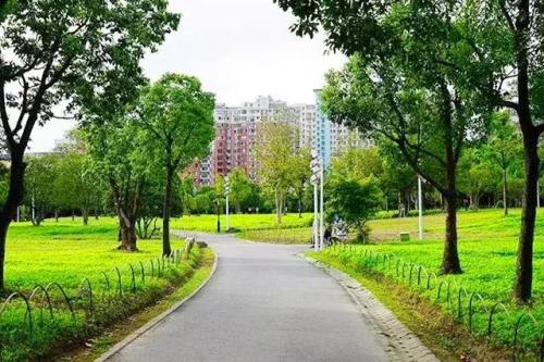 上海划船景区排名前十(上海划船的公园哪个比较好)插图11