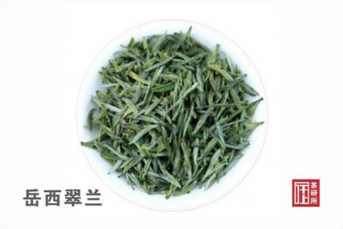 宣城茶叶企业排名前十(茶叶企业排名)插图3