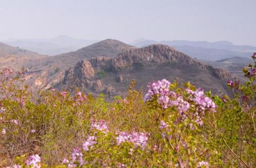 朝阳旅游(朝阳十大景点)插图1