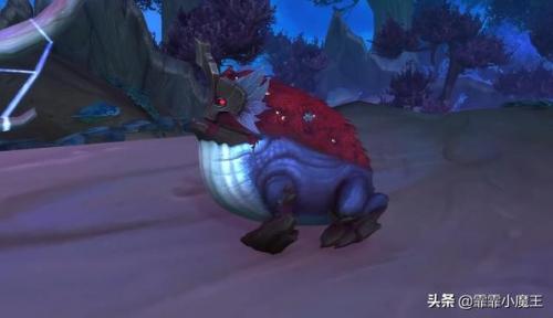 wow小宠物推荐(魔兽世界野外稀有小宠物)插图14