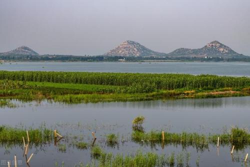 全球国家湿地排名前十(毛里湖国家湿地公园)插图17