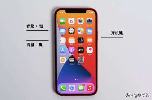 苹果死机怎么重启(苹果屏幕失灵强制重启方法)插图2