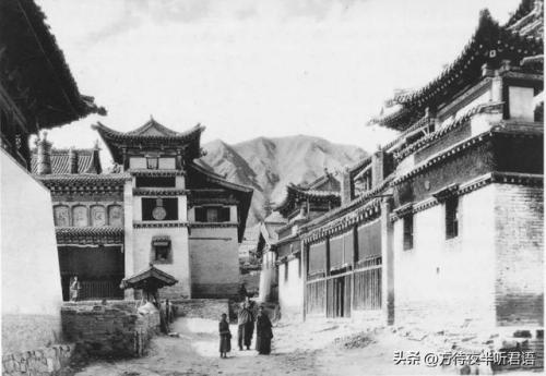 洛克王国禁忌的书房稀有宠物(50级厉害的洛克宠物)插图12