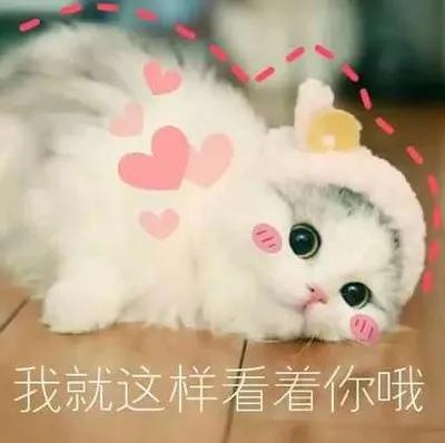 胶带大全(胶带颜色大全)插图1