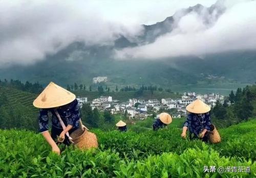 紫砂茶壶品牌排名前十(高端紫砂壶的品牌)插图39