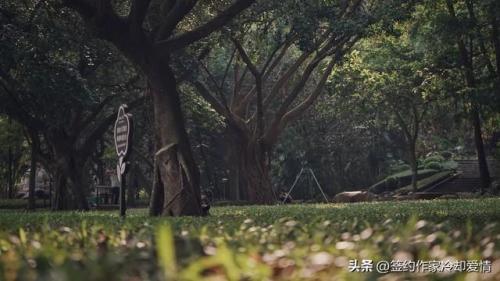 湛江最高景点排名前十(湛江一日游去哪里好玩)插图1