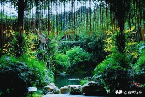 上海冬天景点排名前十(上海必去的地方排名)插图4