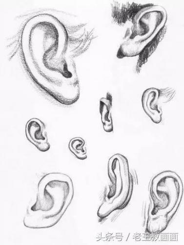 学画画零基础(附近的画画的地方培训班)插图59