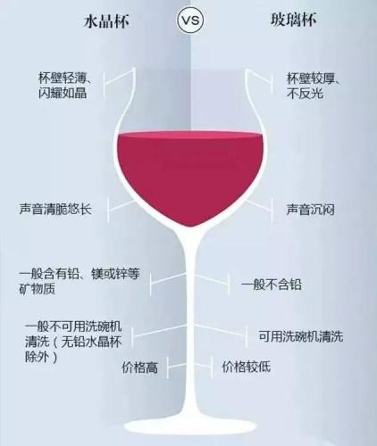 葡萄酒杯(勃艮第杯子)插图6