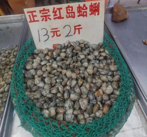 青岛海鲜品种排名前十(青岛海鲜餐厅人气排名)插图31