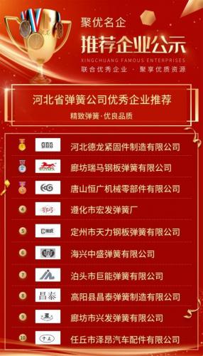天津弹簧公司排名前十(国内弹簧厂家排行前十)插图1