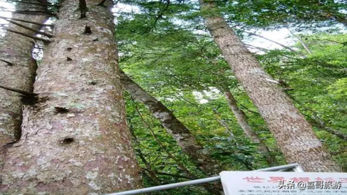 来宾各县景区排名前十(来宾水库排名10大水库)插图4