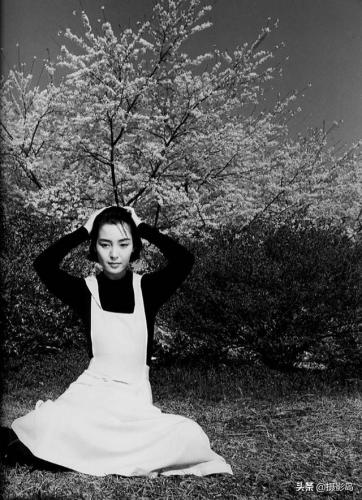 写真拍摄企业排名前十(西安不夜城写真拍摄)插图16