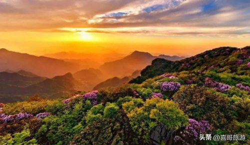 重庆旅游景点推荐(重庆三天最佳攻略)插图