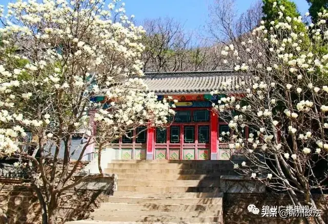 锦州旅游(锦州美食必吃10家饭店)插图14