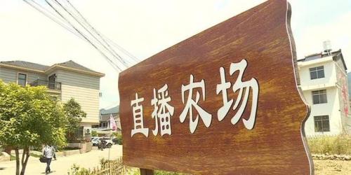 农村实用致富项目(农村致富点子100个)插图4