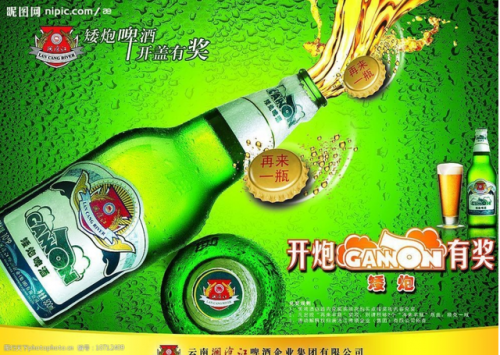 云南进口啤酒排名前十(云南星威啤酒价格)插图14