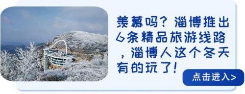 淄博特产(淄博可以带走的特产)插图46