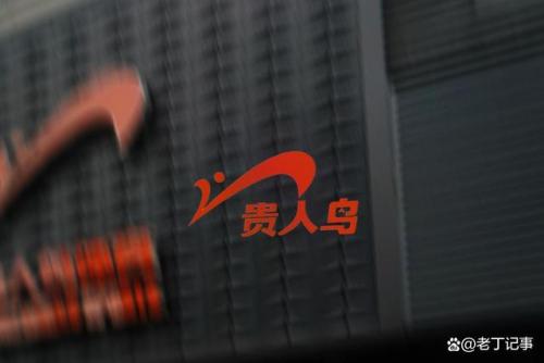 最新健身品牌排名前十(健身套装品牌批发)插图1