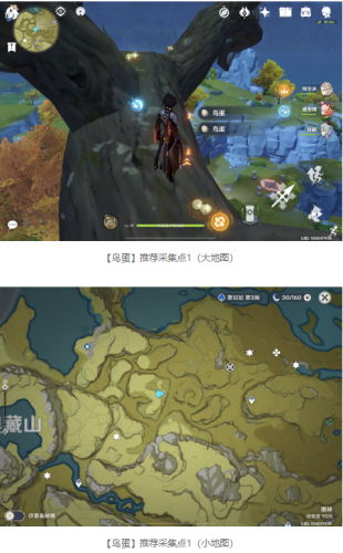 原神百货奇货第七天鸟蛋苹果及白萝卜采集地点一览(烤鸟蛋)插图1