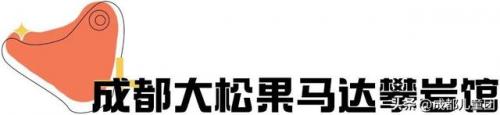 世界攀岩人数排名前十(最强攀岩者排行榜)插图1