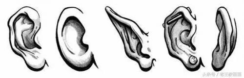 学画画零基础(附近的画画的地方培训班)插图57