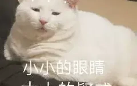 欧琳水槽怎么样(欧琳水槽成都维修)