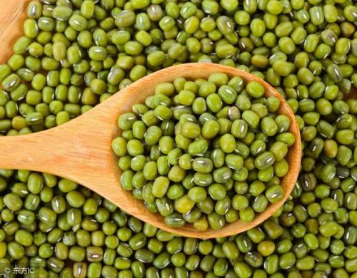 绿豆价格(红豆价格)插图