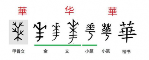 华的组词(华组词最有内涵的)插图1