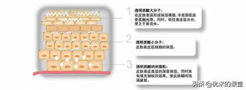 天然增稠剂植物排名前十(粥用增稠剂怎样使用)插图12