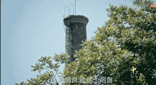 姜文新片(姜文百科)插图14